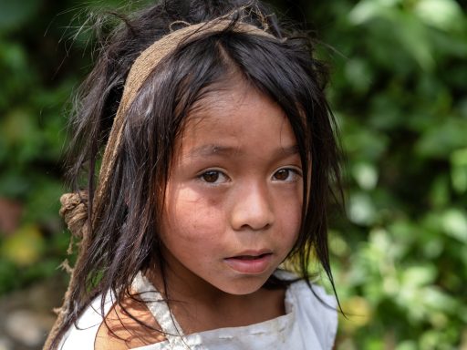 kogi, sarachui, sierranevada, colombia, indigenous