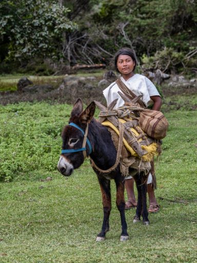 Colombia, Arhuaco, Cesar, indigenous, sierranevada, nabusimake