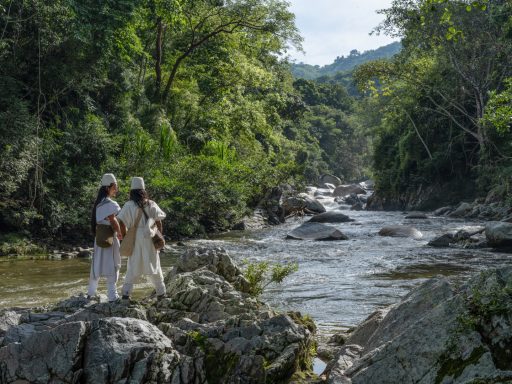 Gunmaku gunmaku, arhuaco, Sierranevada, colombia, indigenous