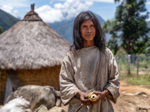 Sarachui kogi, sarachui, sierranevada, colombia, indigenous