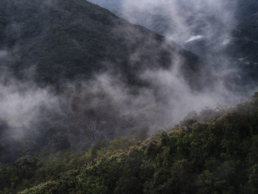 Colombia, Arhuaco, Cesar, indigenous, sierranevada, nabusimake