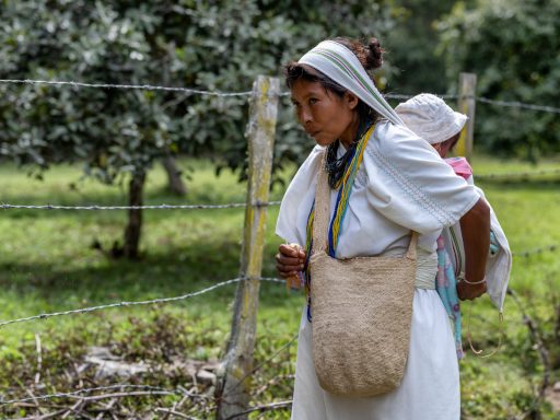 Colombia, Arhuaco, Cesar, indigenous, sierranevada, nabusimake