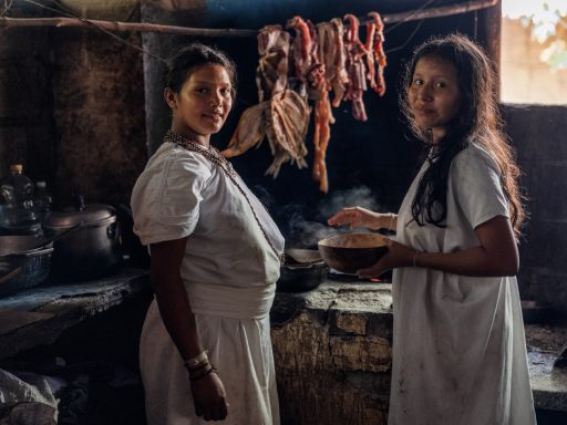 Gwimake gwimake, arhuaco, Sierranevada, colombia, indigenous