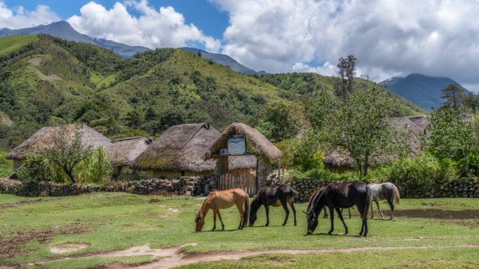 Colombia, Arhuaco, Cesar, indigenous, sierranevada, nabusimake