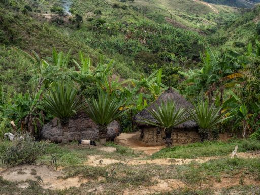 Sarachui kogi, sarachui, sierranevada, colombia, indigenous