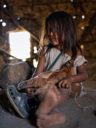 Sarachui kogi, sarachui, sierranevada, colombia, indigenous