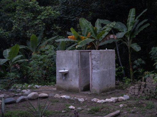 Gwimake gwimake, arhuaco, Sierranevada, colombia, indigenous