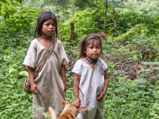 Umuriwa umuriwa, lamesa, valledupar, cesar, sierranevada, arhuaco, indigenous, colombia