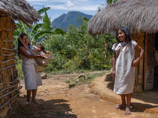 Sarachui kogi, sarachui, sierranevada, colombia, indigenous