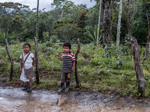 Colombia, Arhuaco, Cesar, indigenous, sierranevada, nabusimake