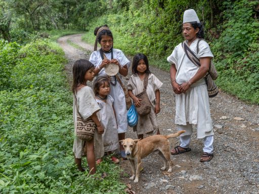Umuriwa umuriwa, lamesa, valledupar, cesar, sierranevada, arhuaco, indigenous, colombia