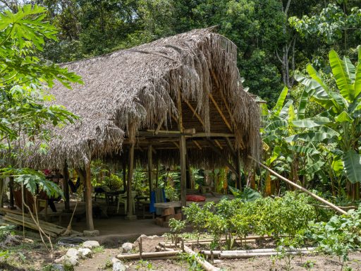 Gwimake gwimake, arhuaco, Sierranevada, colombia, indigenous