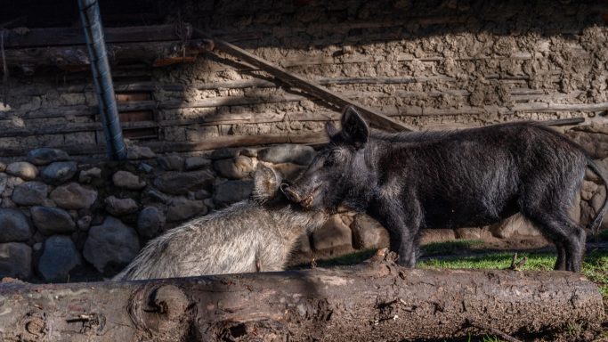 Colombia, Arhuaco, Cesar, indigenous, sierranevada, nabusimake